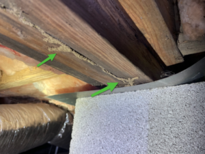 Observed old termite tunnels, home inspection Murfreesboro. TN